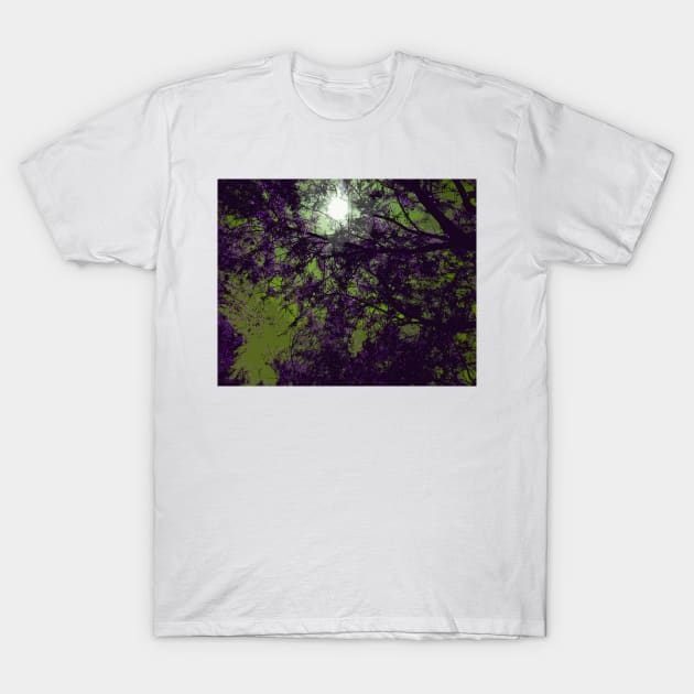 Purple Tree Branches T-Shirt by KirtTisdale